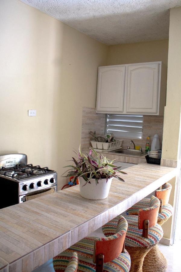 Complejo Villa Las Palmeras Piscina, Billar, Jardin, Bbq @Drvacationsrental Samana Extérieur photo